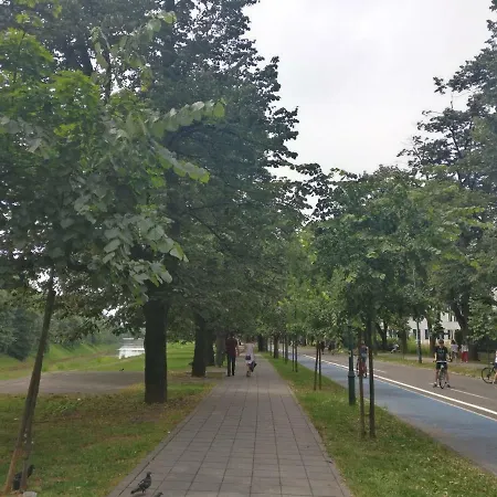 Spacious And Sunny On Wilson's Promenade *